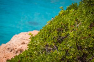 Baia di Caminia scogliera